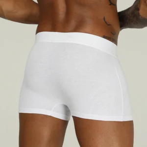 Men Underwear Boxer Cotton Floor Price Mens Underpants Comfortable Underwear Male Panties Breathable U Pouch Men Shorts