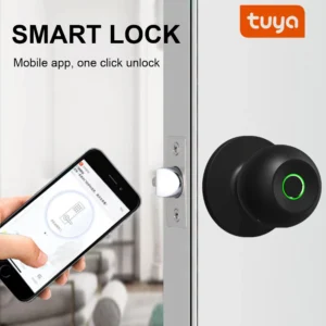 Smart Door Knob Keyless Entry Door Lock Rechargeable Electronic Door Lock with Keys TUYA App Control for Bedrooms Cloakroom