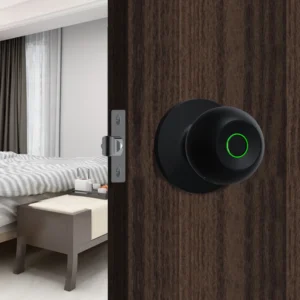 Smart Door Knob Keyless Entry Door Lock Rechargeable Electronic Door Lock with Keys TUYA App Control for Bedrooms Cloakroom